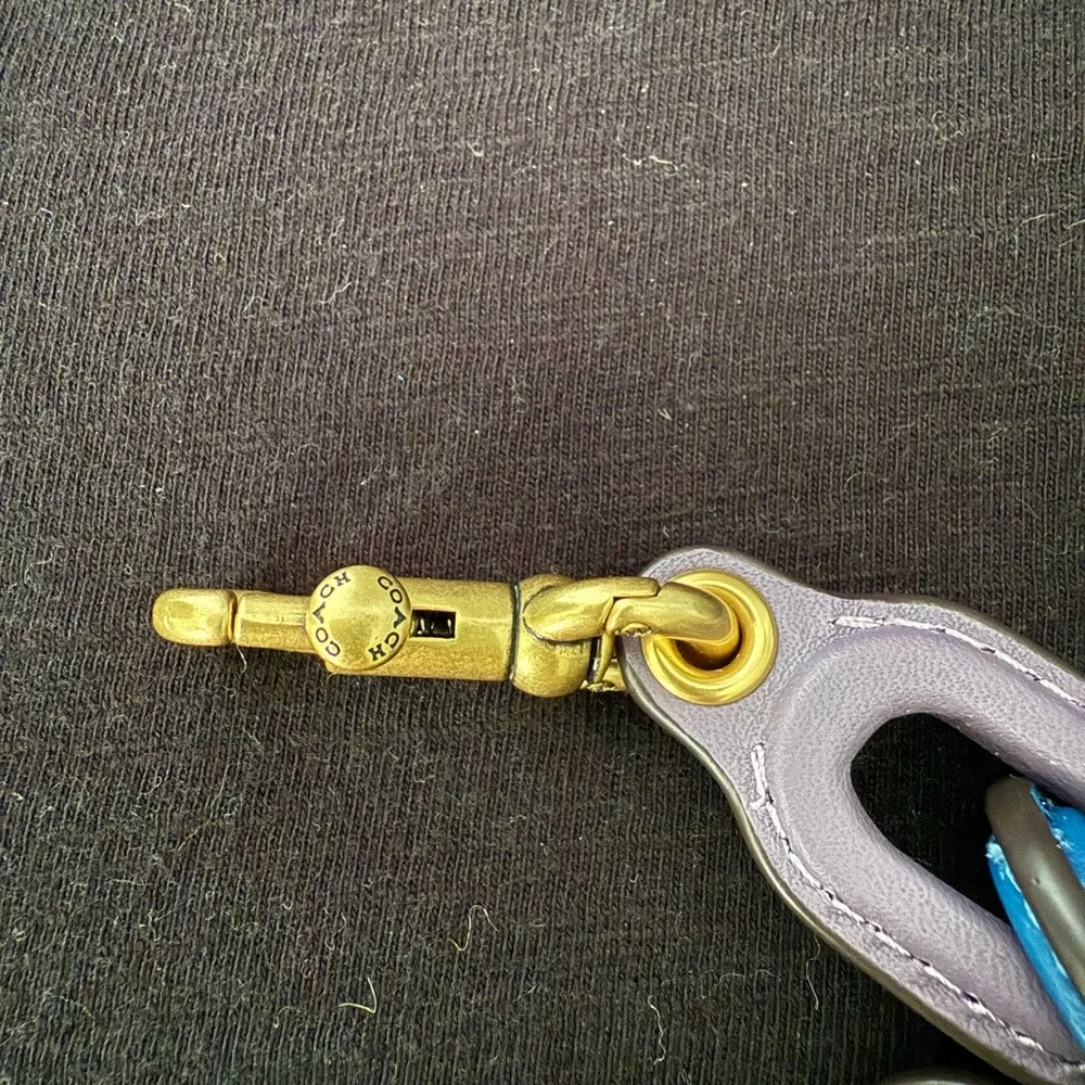 COACH Rainbow Leather Covered Short Chain Strap - Picture 3 of 6